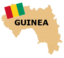 ギニア ジャンベボディ 胴 Guinea Djembe Shell